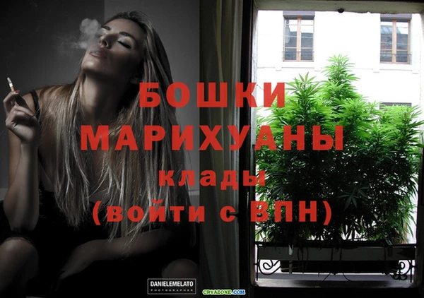 сатива Абаза